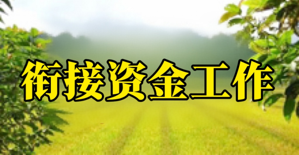 省财政衔接资金工作